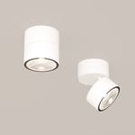 Потолочный светильник Outdoor O310CL-L12W3K