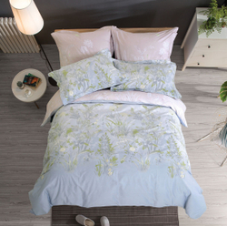 Постельное белье СайлиД B-195 сатин