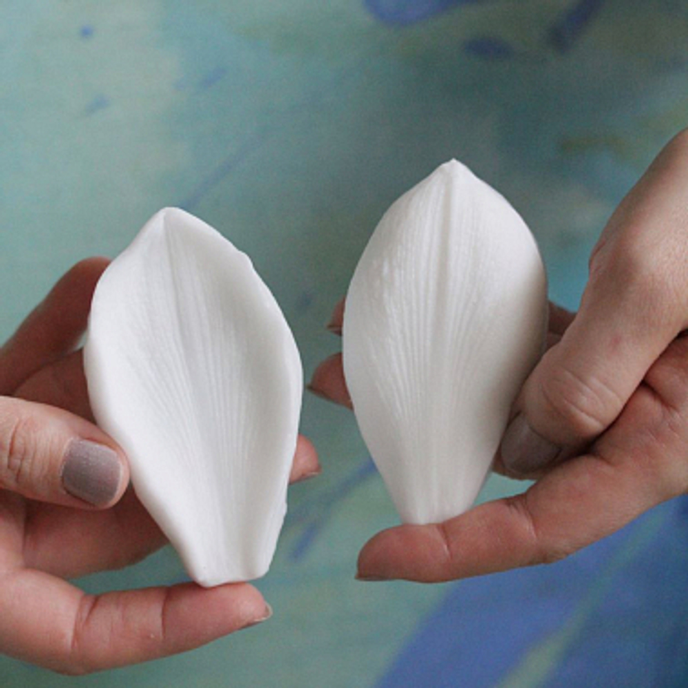 Вайнер лепесток Амариллиса