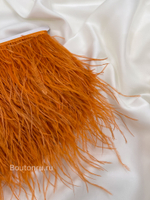 Перо морковное