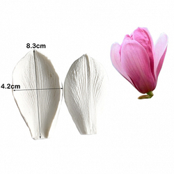 Вайнер лепесток Амариллиса