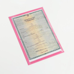 1204839 Папка для свидетельства о рождении девочки "Коллаж"