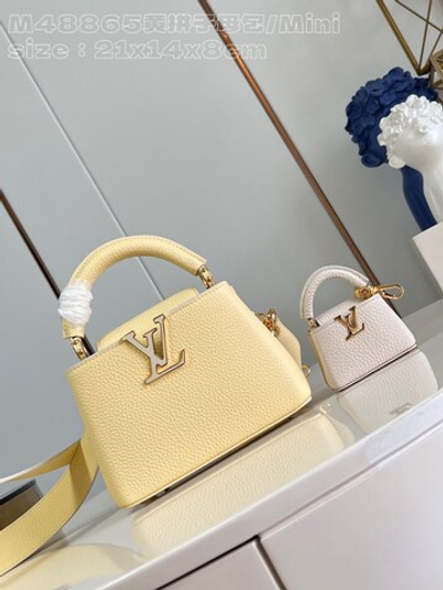 Louis Vuitton Capucines Mini