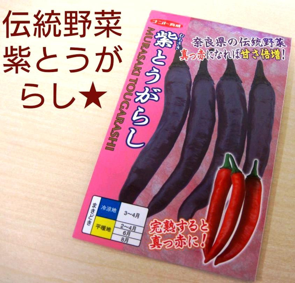 Сладкий Фиолетовый Японский Чили Перец Мурасаки Тогараши Ямато - 紫とうがらし