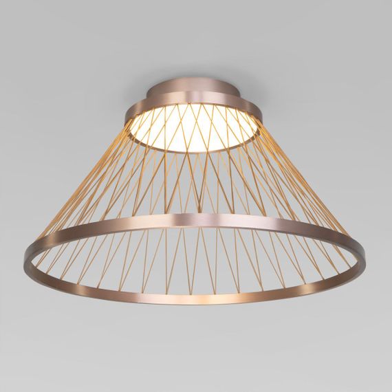 Потолочный светодиодный светильник Eurosvet Cesta 40019/1 LED коричневый