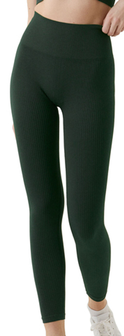 Леггинсы Bj_rn Borg Sthlm Seamless Rib Tights - Green