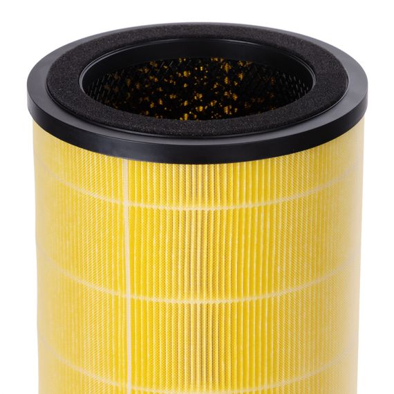 Фильтр Electrolux FAP-2050 ANTI ALLERGY — (2)