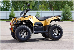 Квадроцикл IRBIS ATV 200 Premium