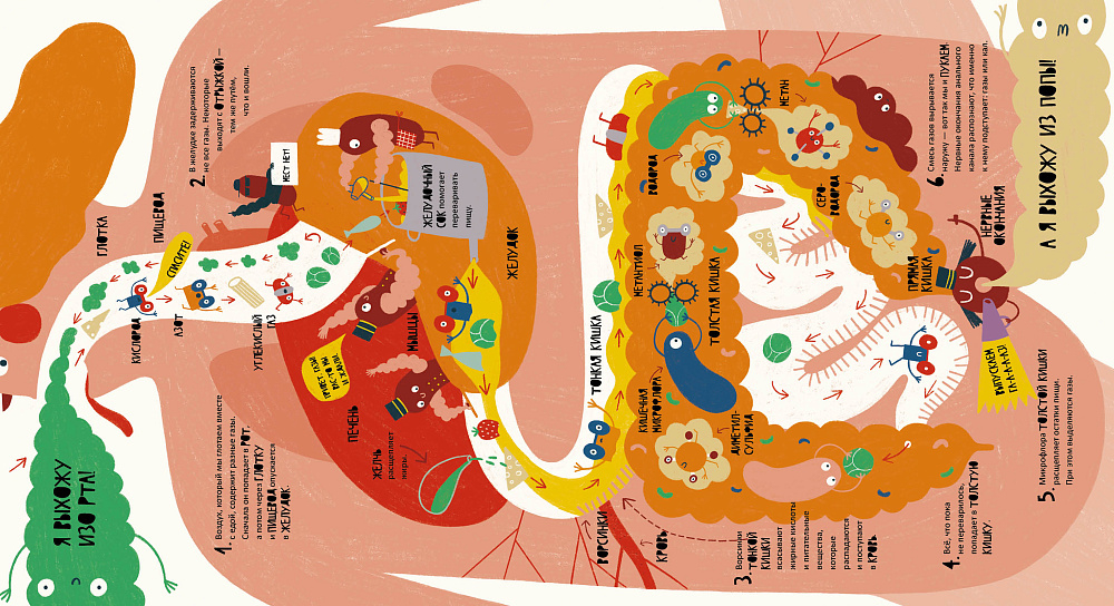 Тайная жизнь пуков и отрыжки