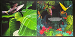De-Phazz ‎– Jelly Banquet 2LP (Германия 2022г.)
