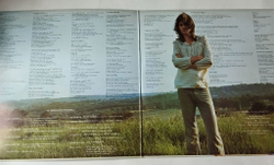 Винтажная виниловая пластинка LP Peter Hammill Chameleon In The Shadow Of The Night (Holland 1973)