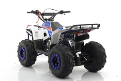 Квадроцикл MOTAX Grizlik A110