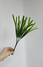 Осока Карекс / Арт 5003