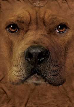 Pitt-Bull Face
