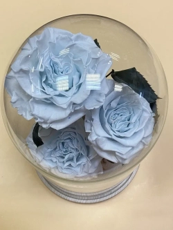 Клош с пионами