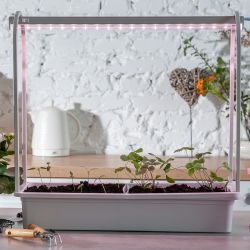 ULI-P16-10W-SPLE IP20 WHITE Светильник для растений светодиодный линейный. 570мм. выкл. на корпусе. Пластик. Спектр для фотосинтеза. TM Uniel