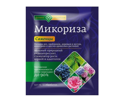 Микориза