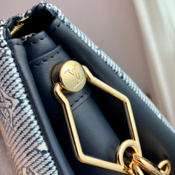Louis Vuitton Coussin PM