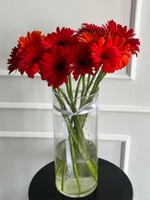 Гербера в красном оттенке от 1 шт