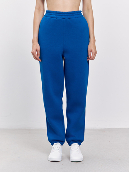 Брюки женские с начесом (синий)