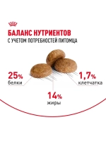 Royal Canin Medium Adult 7+ (Роял Канин Медиум Эдалт 7+) для средних пожилых собак (от 7 лет)