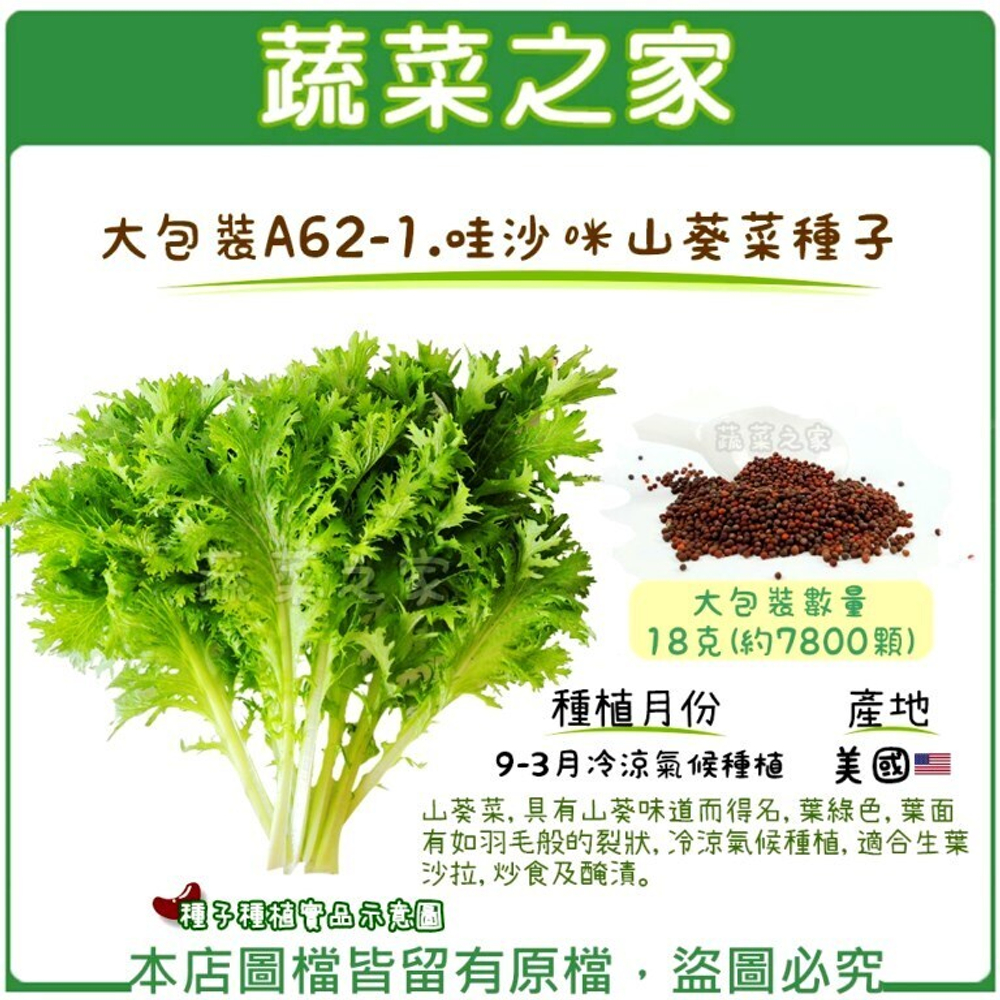 Салатная Японская Зелень Васаби Васабина - Wasabina - わさび菜
