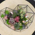 Готовый флорариум с суккулентами Сердце Венеры
