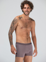 Мужские трусы-боксеры из вискозного полотна (Размер: XXXL) (Цвет: коричневый)