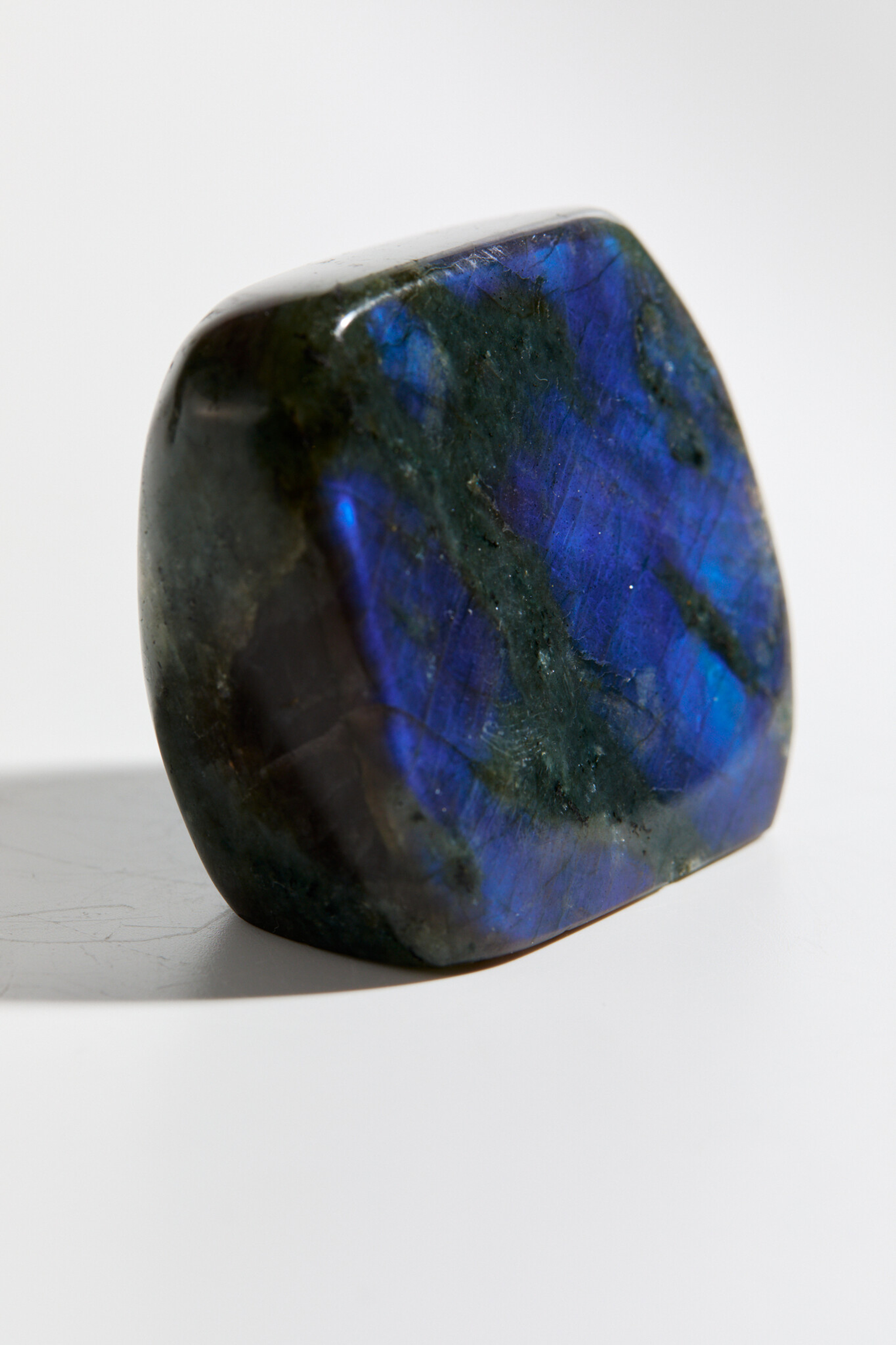 Срез Лабрадора S