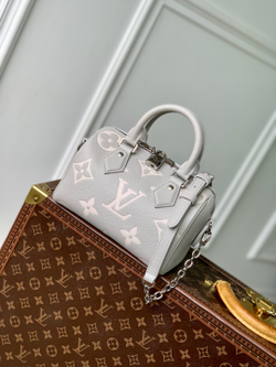 Louis Vuitton Speedy 20