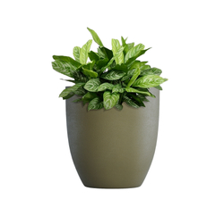 Кашпо, коллекция Classic, форма VASE3