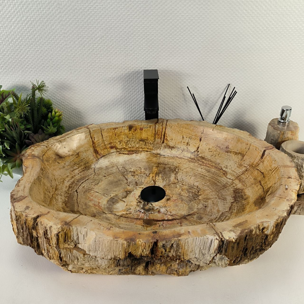 Каменная раковина из окаменелого дерева OD-04822 (67*51*16) 0176 из натурального камня