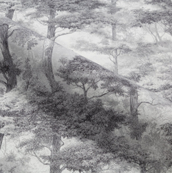 Обои виниловые TC72703-41 ТРЕНД Энергия леса PALITRA TREND сюжетный рисунок, размер 1,06х10 м