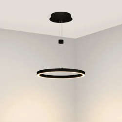 Светильник SP-CONGO-CAN-1-R400-24W Day4000 (BK, 120 deg, 230V) (Arlight, IP20 Металл, 5 лет) 046222