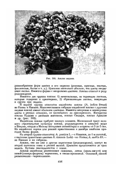 Цветоводство. Часть 2 | Г.Е. Киселев