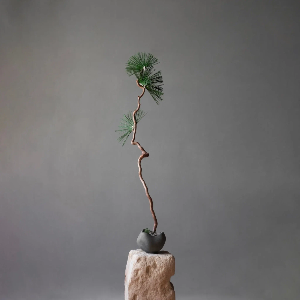 Чаша 101 Copenhagen Curve Bowl, Mini - Dark Grey