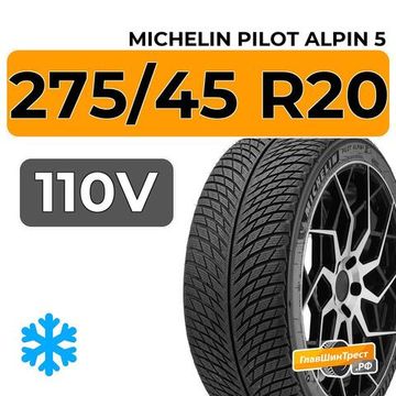 Michelin Pilot Alpin 5 SUV 275/45 R20 110V XL RunFlat