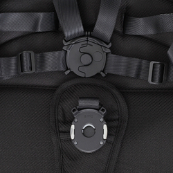 Детская коляска Rant Falcon 2 в 1 Black