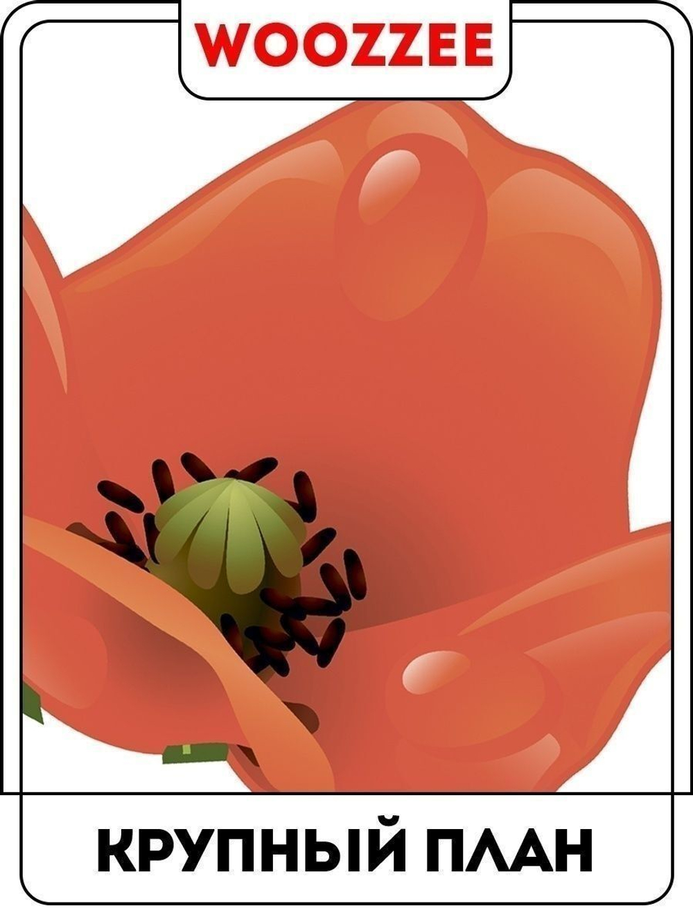 Наклейка декоративная "Летний букет"