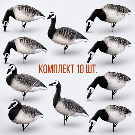 Белощекая казарка Softplast 3D мод. KS-3D