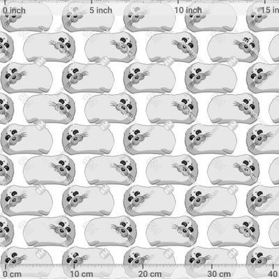 Милый морской котик by AnastasiaEvgenevna 577 DPI