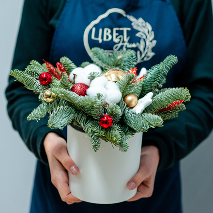 Новогодняя композиция из нобилиса 15