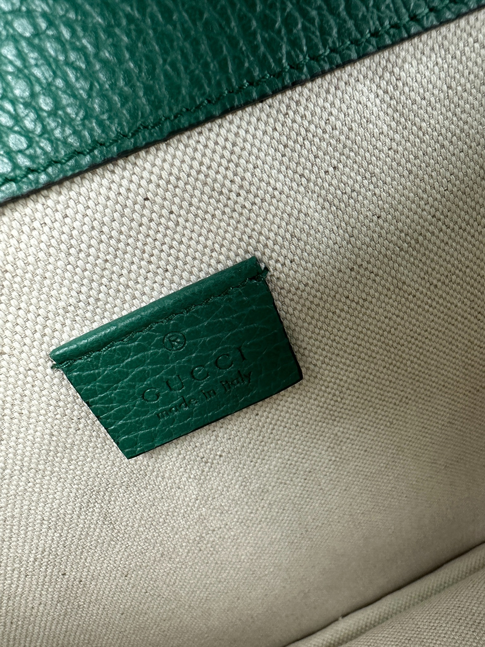 Сумка Gucci Dionysus Medium