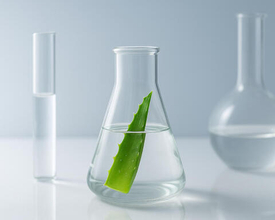 Чистота, качество, наука: из чего создаётся косметика Spa Treatment