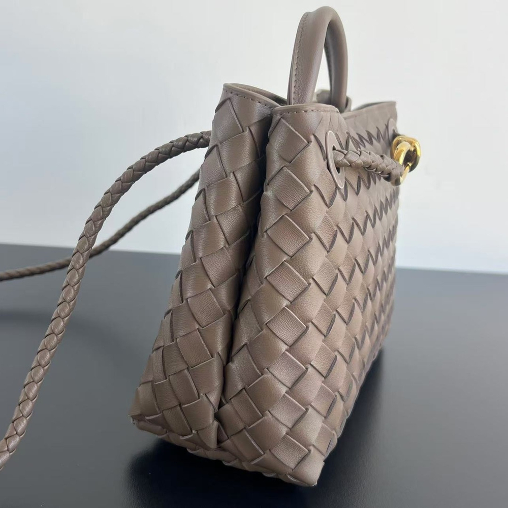Bottega Veneta Small Andiamo 25 cm
