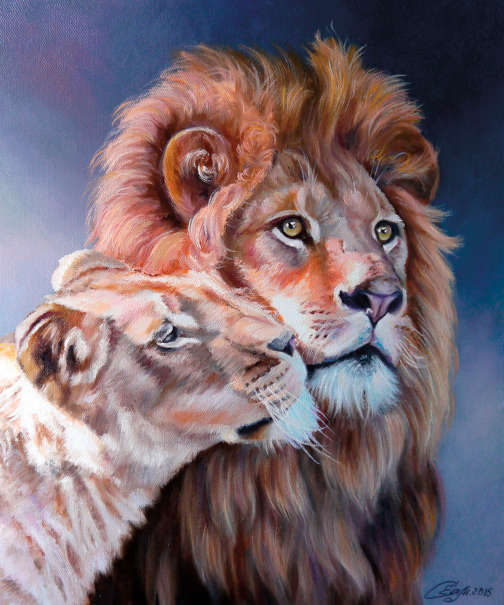 Коллекция Животные