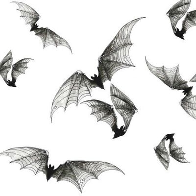 Bats Летучие Мыши