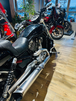 Harley-Davidson V-Rod Muscle, 2010