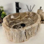 Раковина из окаменелого дерева OD-64674 48*42*15 0175
