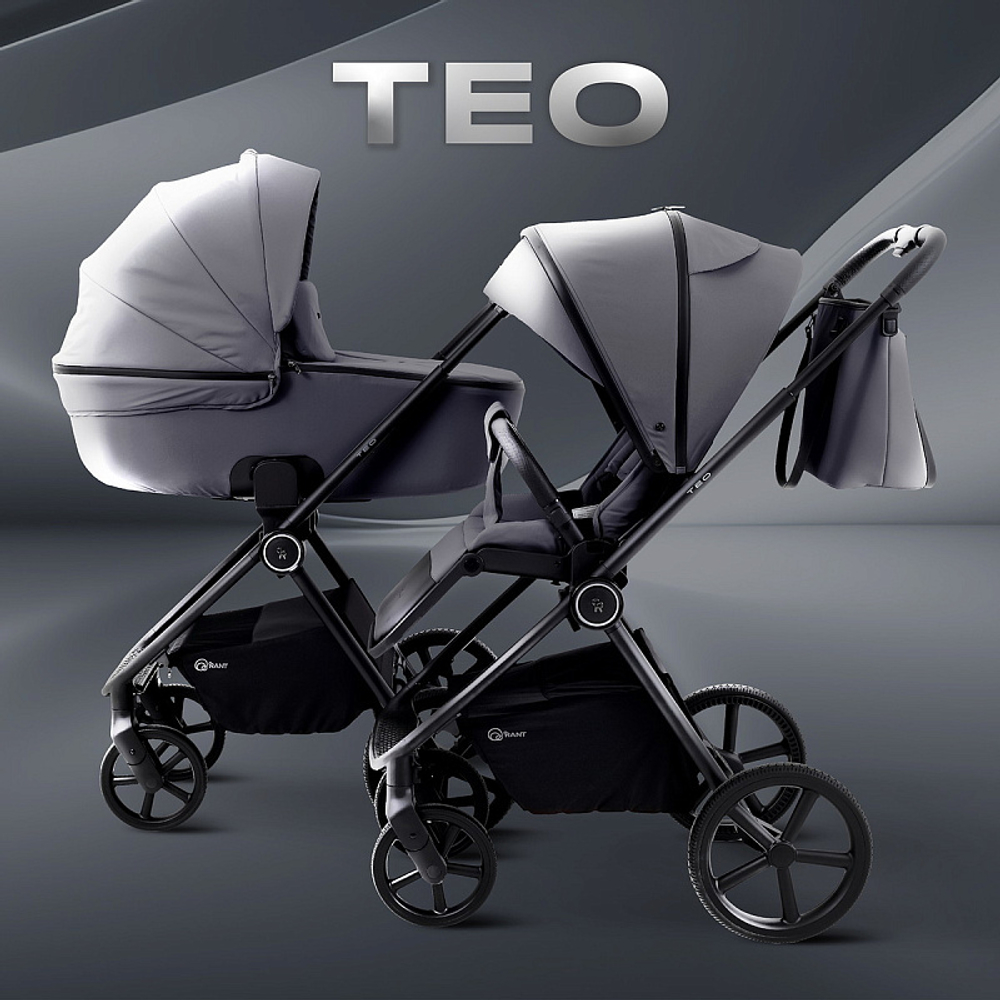 Детская коляска Rant Teo 3 в 1 Grey